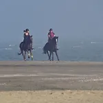 Ca' Adami Гостевой дом 3*