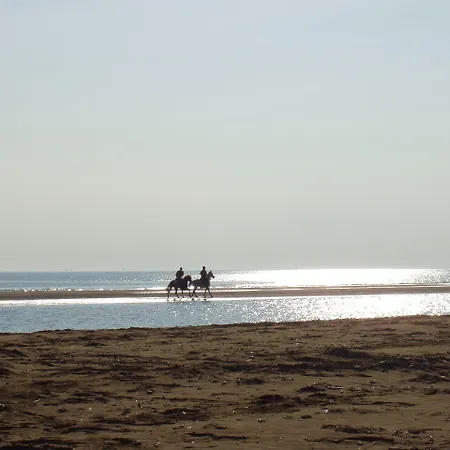 Pensión Ca' Adami 3*