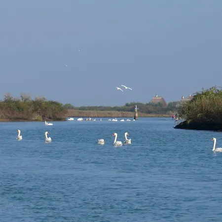 Ca' Adami Pensión 3*