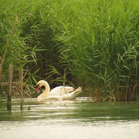 Pensión Ca' Adami Brussa