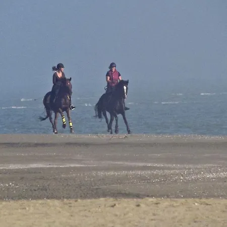 Ca' Adami Pensión 3*