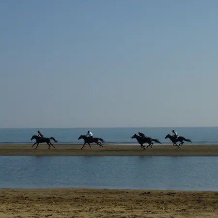 Ca' Adami Gasthof 3*